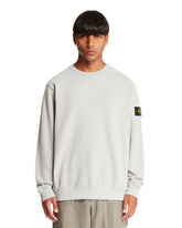 Light Gray Crewneck Sweatshirt - Men's clothing | PLP | dAgency