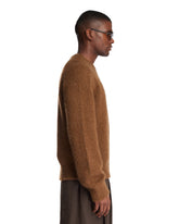 Brown Bruno Sweater | PDP | Antonia